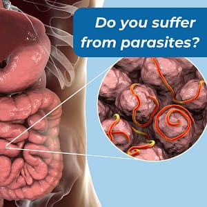 Gut & Parasite Cleanse