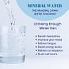 Water Tower with Fluoride Filter (Santevia) - Image 2