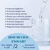Water Tower with Fluoride Filter (Santevia) - Image 3