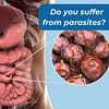 Intracellular Gut & Parasite Cleanse - Image 2