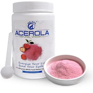 Open container of acerola cherry powde