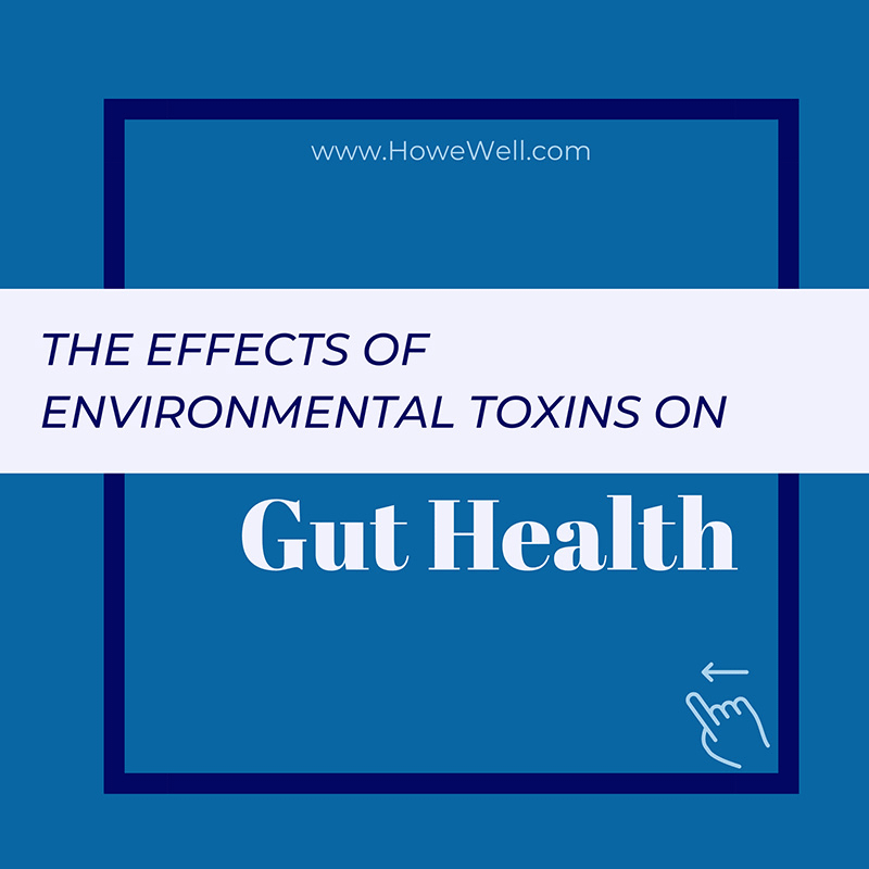 Effects of Environmental Toxins on Gut Health
