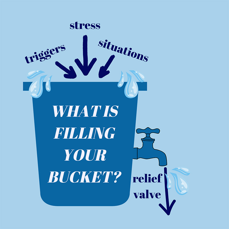 Whats filling your bucket